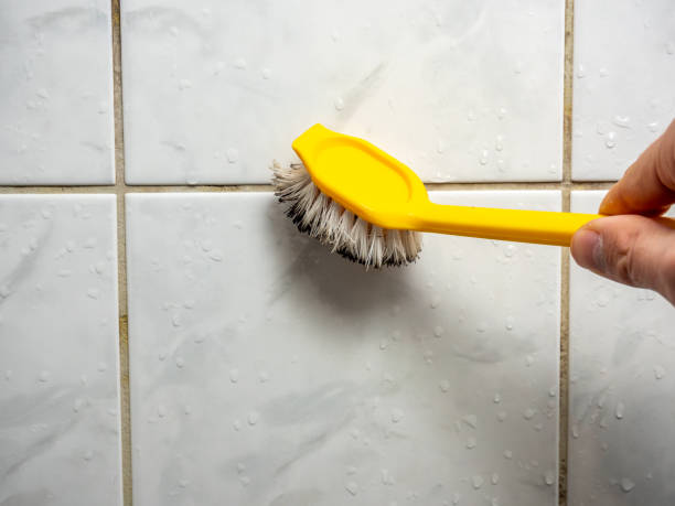 Kings Mills, OH Mold Removal Company